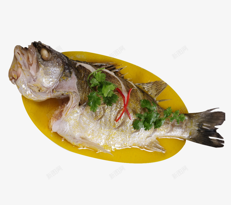 海鲈鱼半条png免抠素材_新图网 https://ixintu.com 水产 海产品 海鲈鱼 海鲜 生猛海鲜 菜 鱼类美食