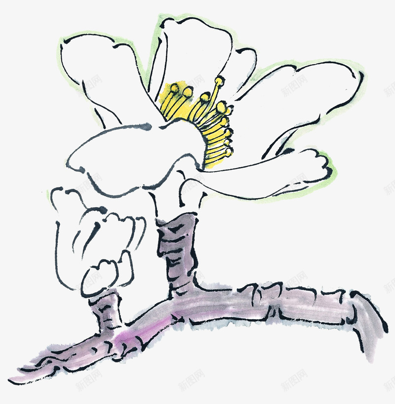 写意花草png免抠素材_新图网 https://ixintu.com 中国画 写意花草 国画小品 装饰花草