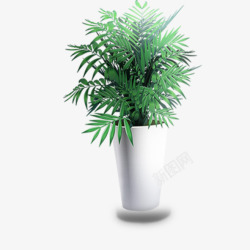 绿色植物盆栽装饰图案素材