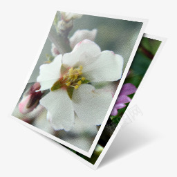 图标png_新图网 https://ixintu.com image photo photography photos picture 图像 图片 摄影 照片