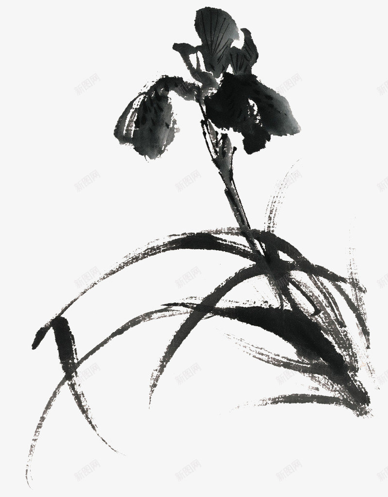 水墨花草png免抠素材_新图网 https://ixintu.com 中国画 写意花草 国画小品 国粹 宣纸画 手绘花卉 美术插图 艺术作品 装饰花草