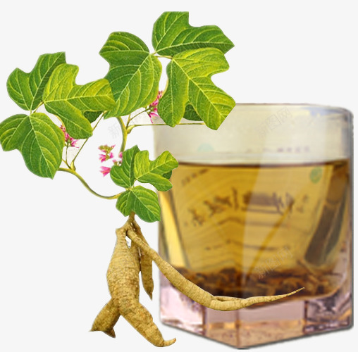 人参茶png免抠素材_新图网 https://ixintu.com 树叶 植物 水杯 花草 茶水