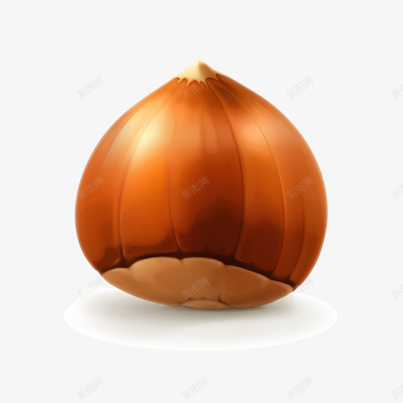 逼真美味坚果美食矢量图ai免抠素材_新图网 https://ixintu.com 逼真食物坚果食物 矢量图