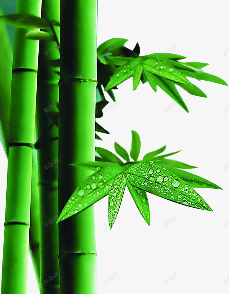 绿色清爽粽叶端午节日png免抠素材_新图网 https://ixintu.com 清爽 端午 绿色 节日