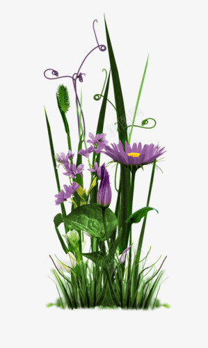 手绘装饰花草png免抠素材_新图网 https://ixintu.com 卡通 国画花草素材 花卉ps素材 装饰图案
