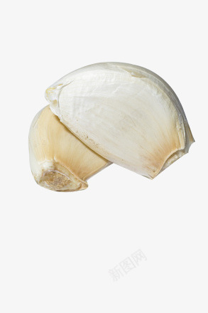 一般蒜瓣png免抠素材_新图网 https://ixintu.com 蒜 蒜瓣 调味品 配料