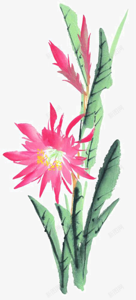 彩墨国画花草png免抠素材_新图网 https://ixintu.com 国画写生小品 国画花卉 宣纸花草 手绘国画 手绘花草 装饰植物手绘