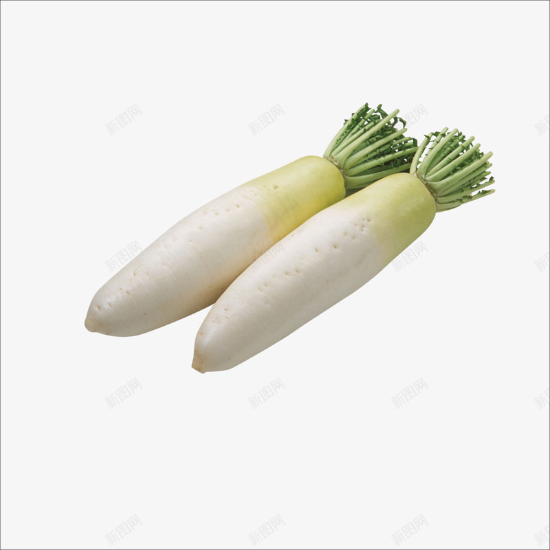 生鲜白萝卜png免抠素材_新图网 https://ixintu.com 新鲜食物 生鲜 生鲜素材 生鲜食品 白萝卜 蔬菜 超市生鲜 超市食物 食品