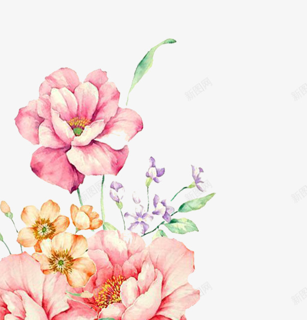 手绘花装饰图案png免抠素材_新图网 https://ixintu.com 手绘 植物 水彩花 红花 绿叶 花卉