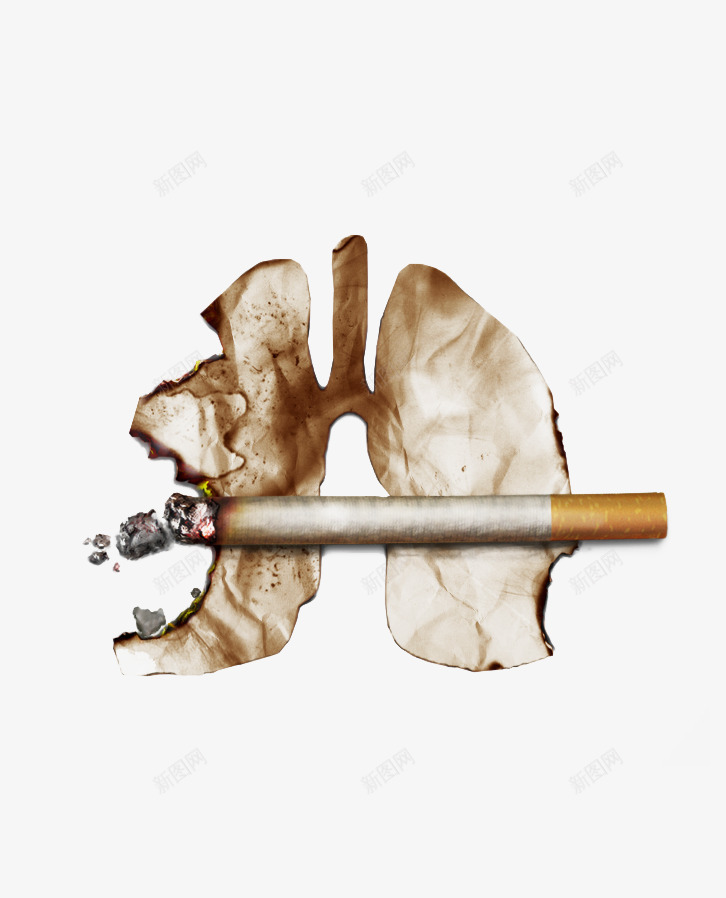珍惜生命png免抠素材_新图网 https://ixintu.com 烟 珍惜生命 肝