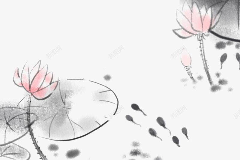 清新淡雅插图水墨中国画荷塘荷花png免抠素材_新图网 https://ixintu.com 中国画 小蝌蚪 小蝌蚪卡通 水墨 淡雅插图 清新 清新淡雅插图水墨中国画荷塘荷花荷叶免费下载 荷叶 荷塘 荷花 蝌蚪