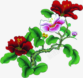 中秋节手绘红花绿叶png免抠素材_新图网 https://ixintu.com 中秋节 红花 绿叶