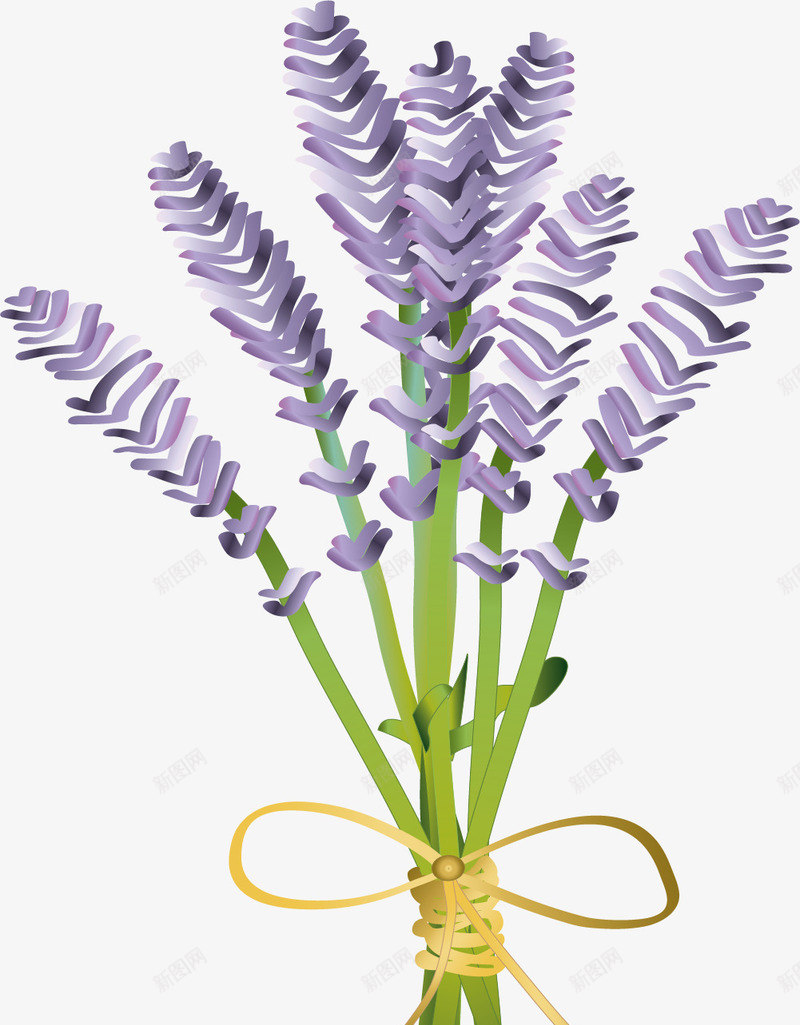 紫色浅色卡通薰衣草矢量图ai免抠素材_新图网 https://ixintu.com 卡通 扁平风格 植物 浅色 浅色薰衣草 紫色薰衣草 草本 矢量图