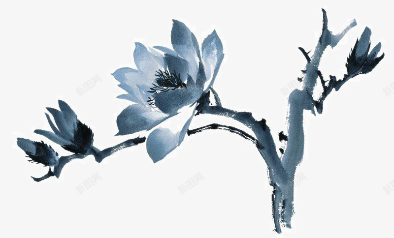 手绘玉兰花png免抠素材_新图网 https://ixintu.com 中国画 写意花草 国画小品 国粹 宣纸画 手绘花卉 美术插图 艺术作品 装饰花草