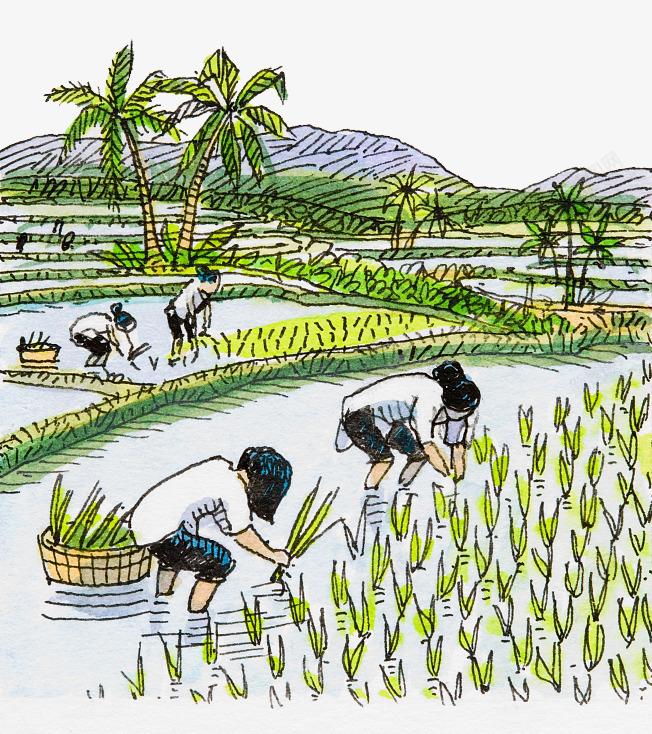 手绘插图农地插秧农忙场景png免抠素材_新图网 https://ixintu.com 农地插画 农忙插画 农田插画 手绘插图 插秧卡通 插秧插画 水彩插画