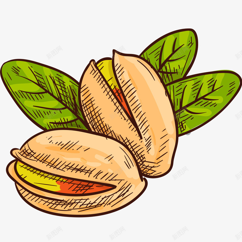 开心果矢量图ai免抠素材_新图网 https://ixintu.com 休闲食品 小吃 开心果 矢量开心果免抠PNG 秋季养生 绿叶 矢量图