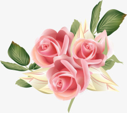 粉红手绘玫瑰花高清图片