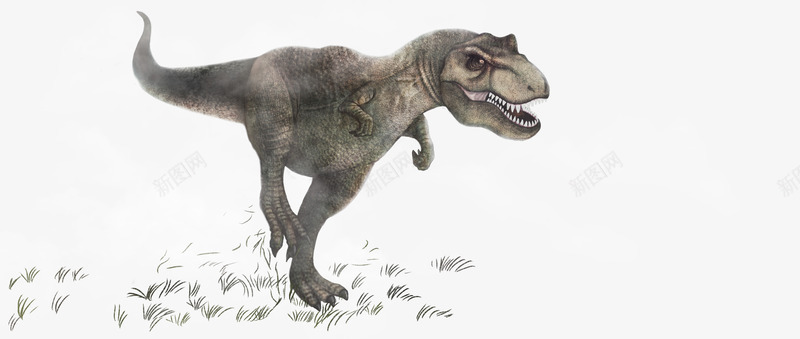 恐龙psd免抠素材_新图网 https://ixintu.com 史前生物 霸王龙 食肉恐龙