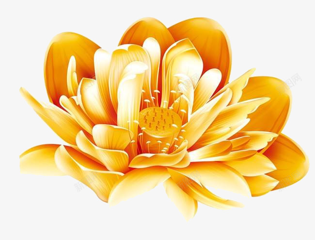 发财金莲新年元素png免抠素材_新图网 https://ixintu.com 2019 发财金莲 新年元素 金莲 黄金莲花
