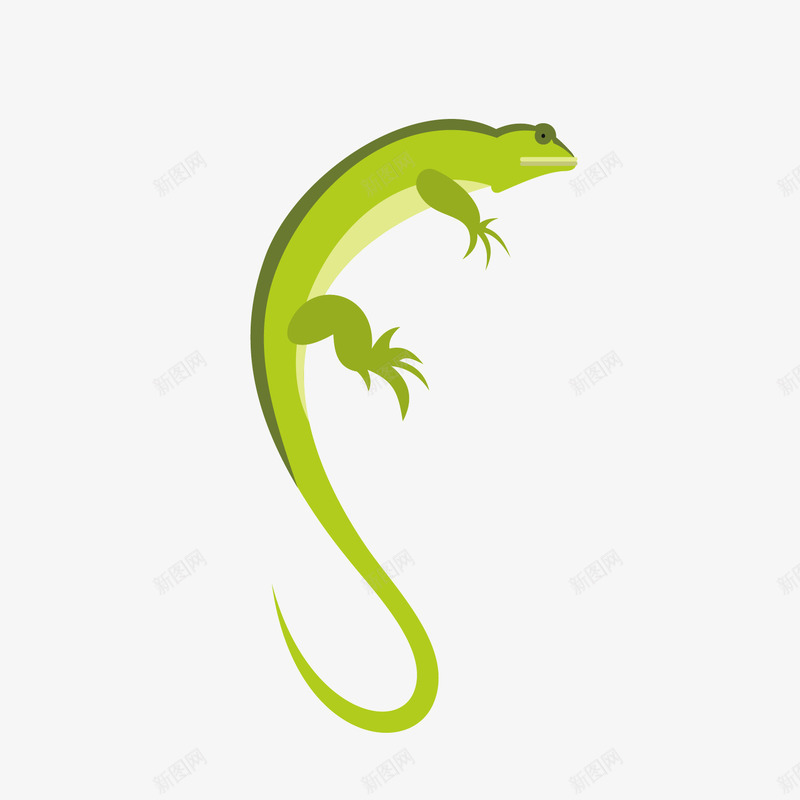 绿色蜥蜴矢量图ai免抠素材_新图网 https://ixintu.com 动物 尾巴 弯曲 扁平化 生物 绿色 矢量图
