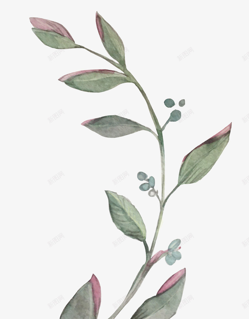 手绘水彩植物树叶绿叶png免抠素材_新图网 https://ixintu.com 叶子 广告设计 手绘清新文艺绿叶 海报设计 清新装饰 绿叶 绿叶装饰插画
