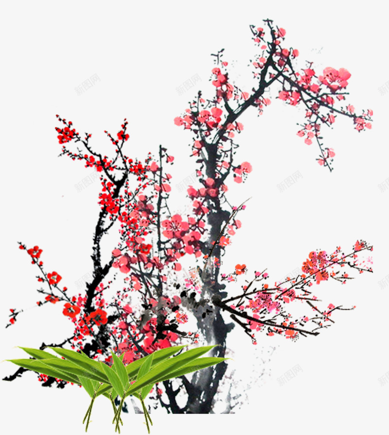 冬天里的梅花psd免抠素材_新图网 https://ixintu.com 两棵小草 冬季 寒梅 梅花 红色
