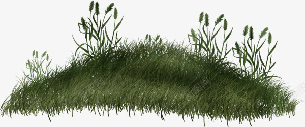 绿色草皮png免抠素材_新图网 https://ixintu.com 手绘 绿植 花草 草地 草地上的地毯 草皮