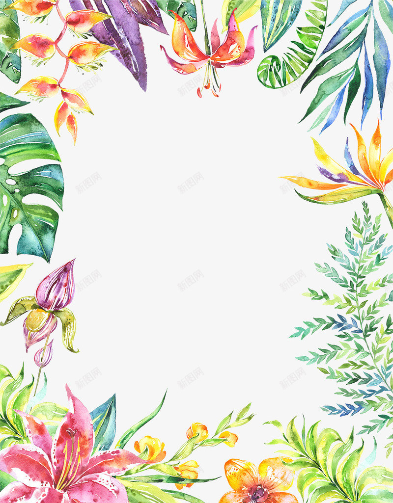 手绘彩色热带植物装配边框png免抠素材_新图网 https://ixintu.com 彩色 植物 热带 装配 边框