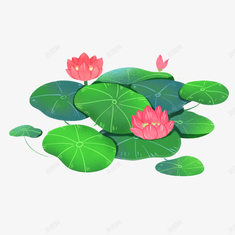 手绘卡通立夏荷花png免抠素材_新图网 https://ixintu.com 手绘 立夏 荷花 莲花