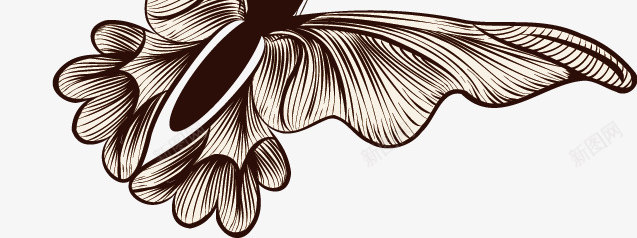 花草背景png免抠素材_新图网 https://ixintu.com 名片 手绘花卉 梦幻花卉 素描 花 花卉 花朵 花纹花卉 花线稿 花草 花草背景 花边