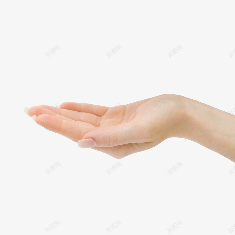 女性手掌托举png免抠素材_新图网 https://ixintu.com 女性手掌 手势 手心 手掌托举 托举 掌心