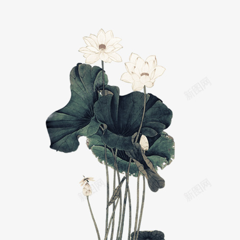 清新淡雅荷花png免抠素材_新图网 https://ixintu.com 国学 水墨画 淡雅 荷花