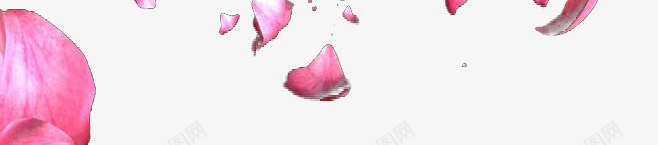 漂浮花瓣png免抠素材_新图网 https://ixintu.com 唯美 桃花瓣 浪漫 红色