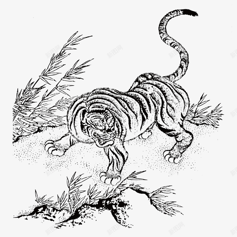 手绘华南虎矢量图ai免抠素材_新图网 https://ixintu.com 华南虎 手绘石头 竹林 矢量图