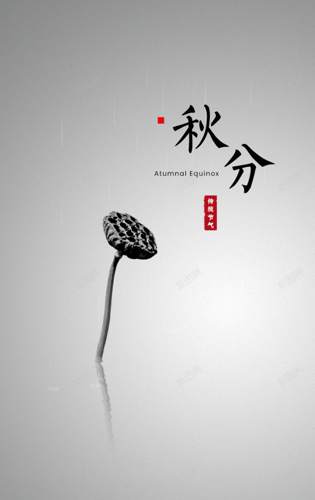 秋分的场景图png免抠素材_新图网 https://ixintu.com 秋分 简洁 素雅 莲蓬