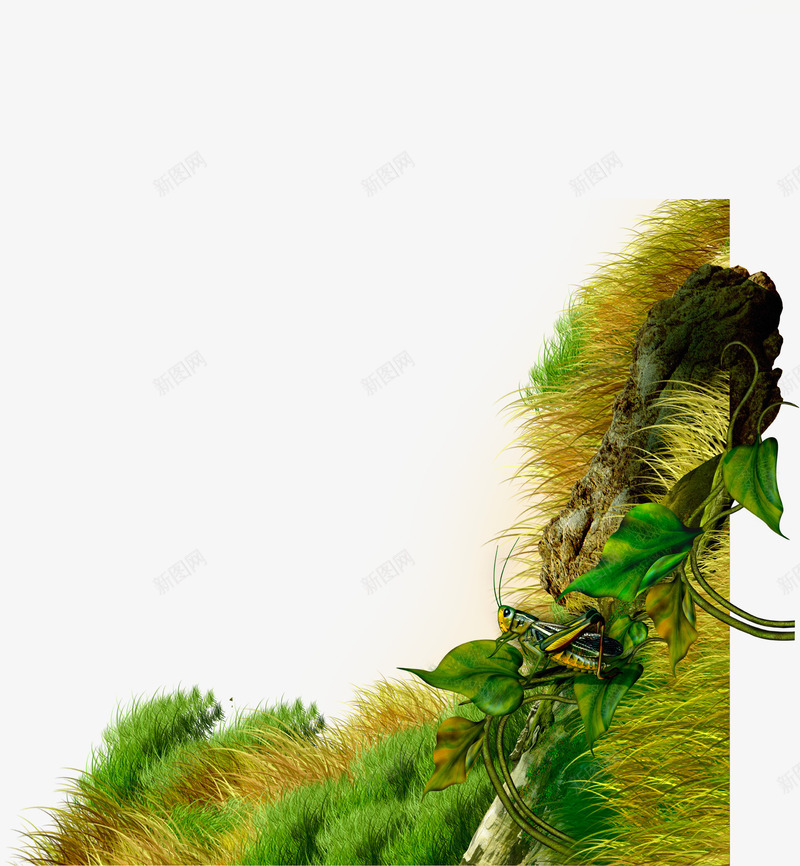 草地上的昆虫psd免抠素材_新图网 https://ixintu.com 卡通昆虫 昆虫 森林 草地 草坪 蚱蜢 质感