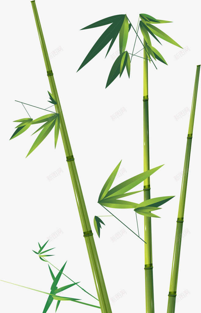翠绿色竹子手绘png免抠素材_新图网 https://ixintu.com 手绘 生机勃勃 竹子 翠绿