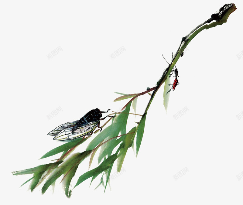 手绘竹子png免抠素材_新图网 https://ixintu.com 中国风素材 手绘卡通竹子 绿色竹叶 蝉 蝉插画