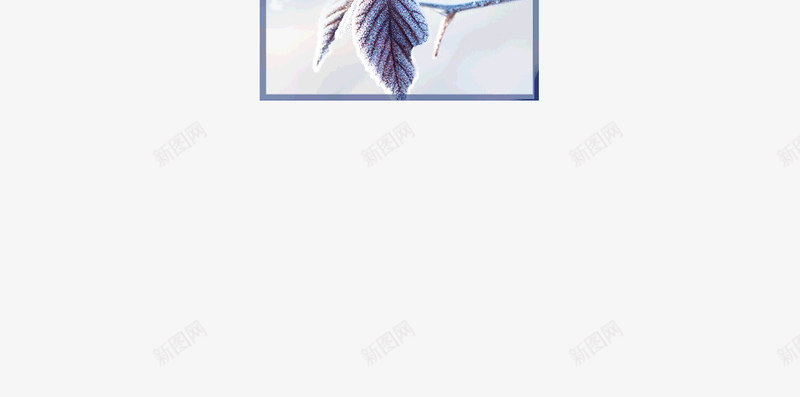 中国传统节气霜降寒气psd免抠素材_新图网 https://ixintu.com 中国 传统 寒气 节气 霜降