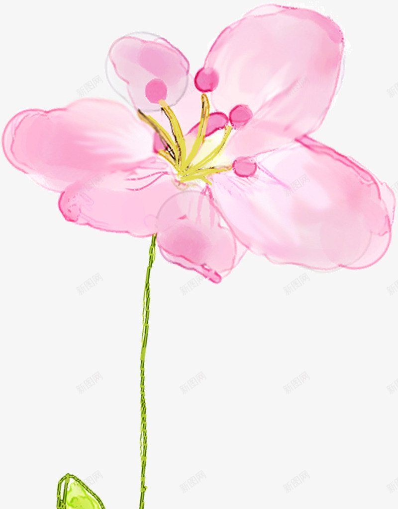 唯美粉色清新淡雅花朵png免抠素材_新图网 https://ixintu.com 淡雅 清新 粉色 花朵