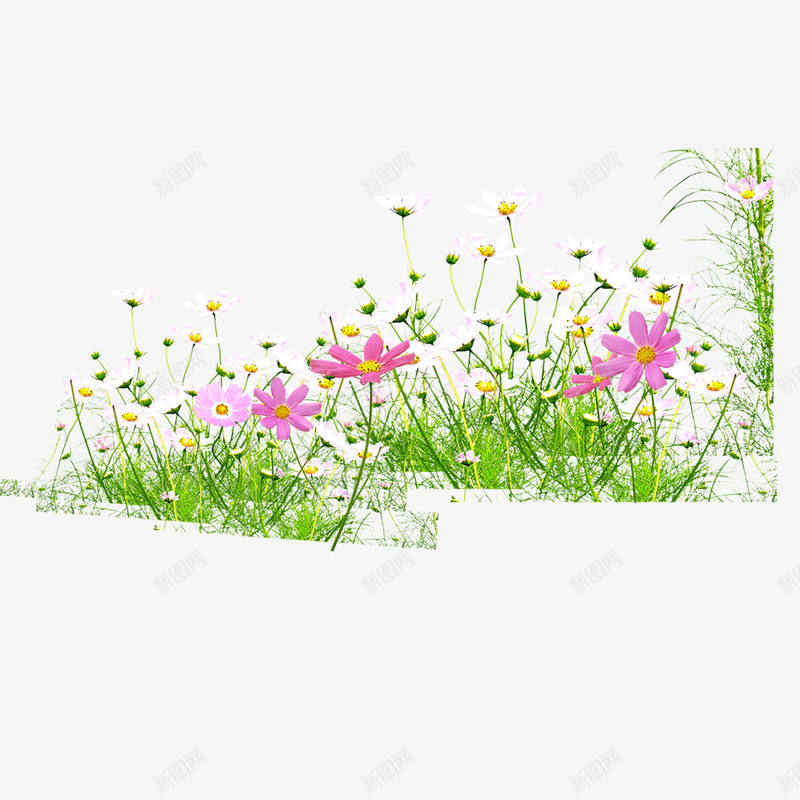花朵png免抠素材_新图网 https://ixintu.com 小草 彩色 碎花