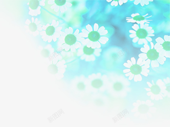 唯美花卉儿童计划免疫公开栏png免抠素材_新图网 https://ixintu.com 儿童 免疫 公开栏 花卉 计划