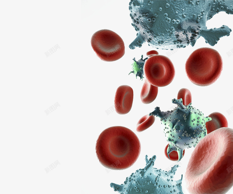 磨菇状和球形微生物png免抠素材_新图网 https://ixintu.com 实验 微生物 显微镜 球形 生物科研 磨菇状 科技 红色