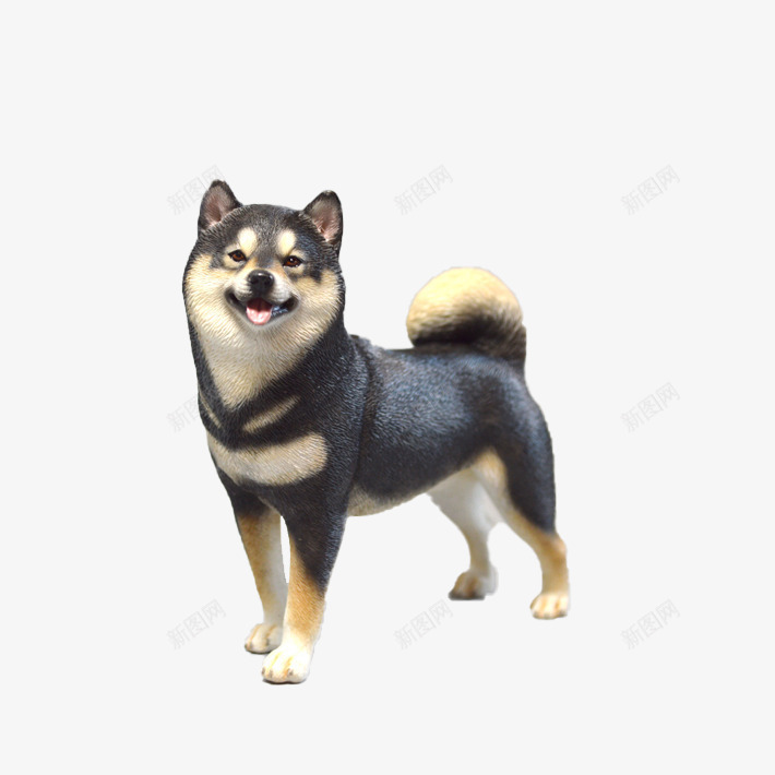 犬影村柴犬狗模型psd免抠素材_新图网 https://ixintu.com 仿真柴犬 家居摆件 手办 手办模型 模型 犬影村 狗模型 礼品 装饰