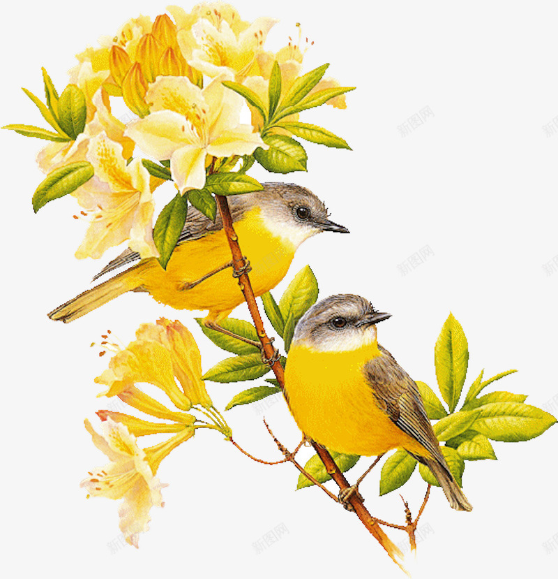 花束抽象花朵卡通黄色花枝png免抠素材_新图网 https://ixintu.com 唯美背景图片 小鸟 抽象鲜花 背景元素 花卉图案 花束 花枝