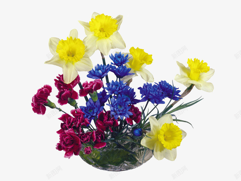 花朵花束png免抠素材_新图网 https://ixintu.com 尊敬 康乃馨 淡雅 爱 花卉 花朵 花瓣 香石竹 魅力 鲜花