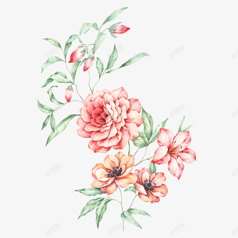 手绘花植物png免抠素材_新图网 https://ixintu.com 手绘 植物 水彩花 红花 绿叶 花卉