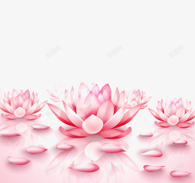 粉色睡莲png免抠素材_新图网 https://ixintu.com 化妆品 化妆品元素 植物 睡莲 粉色 鲜花