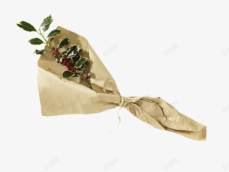 圣诞冬青花艺png免抠素材_新图网 https://ixintu.com 一支花材 冬青树 包花纸 圣诞花艺 牛皮纸 绿叶