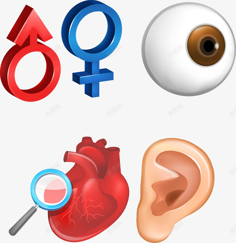 耳鼻喉科眼科png免抠素材_新图网 https://ixintu.com 医疗 卡通 可爱